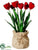 Tulip - Red - Pack of 4