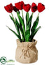 Silk Plants Direct Tulip - Red - Pack of 4