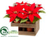 Silk Plants Direct Poinsettia - Red - Pack of 2