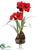 Amaryllis - Red - Pack of 2