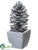 Pine Cone Assortment - Brown Snow - Pack of 1