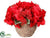 Hydrangea, Holly Arrangement - Red Green - Pack of 6