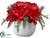 Amaryllis, Pine, Pine Cone Arrangement - Red Green - Pack of 2