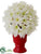 Tulip Arrangement - White - Pack of 6