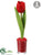 Tulip - Red - Pack of 12