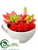 Succulent Garden - Red - Pack of 12