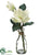 Magnolia - White - Pack of 6