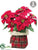 Velvet Poinsettia - Red - Pack of 1