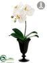 Silk Plants Direct Phalaenopsis Orchid Plant - White Green - Pack of 4