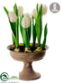 Silk Plants Direct Tulip - White - Pack of 2