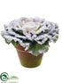 Silk Plants Direct Cabbage - Green Snow - Pack of 12