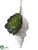 Shell Ornament - Green Burgundy - Pack of 12