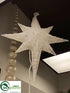 Silk Plants Direct Star Ornament - Clear - Pack of 2