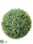 Sedum Ball Ornament - Green Two Tone - Pack of 6