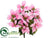 Poinsettia Bush - Pink - Pack of 6