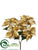 Poinsettia Bush - Gold - Pack of 12