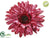 Glitter Gerbera Daisy - Fuchsia - Pack of 12