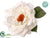 Velvet Rose - White - Pack of 12