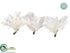 Silk Plants Direct Pearl Feather Flower - White Glittered - Pack of 6