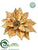 Poinsettia - Gold - Pack of 12