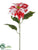 Poinsettia Spray - Red White - Pack of 12