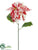 Poinsettia Spray - Red White - Pack of 12