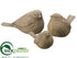 Silk Plants Direct Bird - Brown - Pack of 6