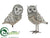 Owl - Gray Whitewashed - Pack of 3