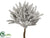 Pine Pick - Green Gray - Pack of 12