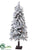 Northern Alpine Tree - Snow - Pack of 1