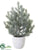 Spruce Tree - Green Gray - Pack of 4