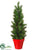 Pine Tree - Green Red - Pack of 6