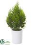 Silk Plants Direct Cedar Tree - Green - Pack of 4