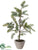 Cedar Tree - Green - Pack of 1