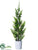 Cedar Tree - Green - Pack of 4