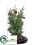 Silk Plants Direct Juniper Tree - Green - Pack of 1