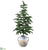 Pine Tree - Green - Pack of 2