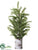 Pine Tree - Green - Pack of 2