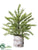 Pine Tree - Green - Pack of 2