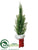 Pine Tree - Green - Pack of 4