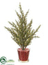 Silk Plants Direct Pine Tree - Green Gold - Pack of 12