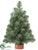 Pine Tree - Green - Pack of 24