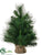 Long Needle Pine Tree - Green - Pack of 4