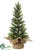 Pine Tree - Green - Pack of 6