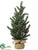 Angel Pine Tree - Green Gold - Pack of 6