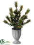 Silk Plants Direct Pine Tree - Green - Pack of 12