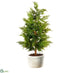 Silk Plants Direct Cedar Tree - Green - Pack of 4