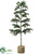 Pine Tree - Green - Pack of 1