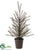 Pine Tree - Green - Pack of 2