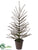 Pine Tree - Green - Pack of 2